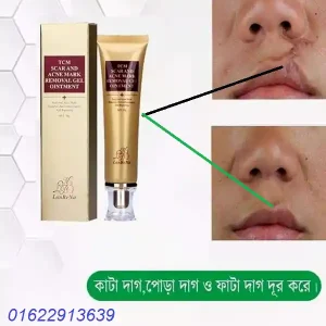 ৩৭ সপ্তাহে কত মাস