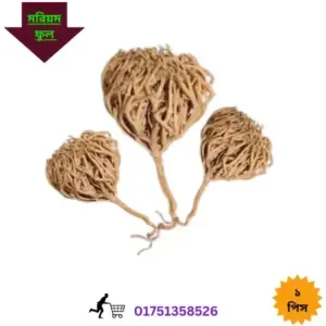 মরিয়ম ফুল গর্ভাবস্থায়